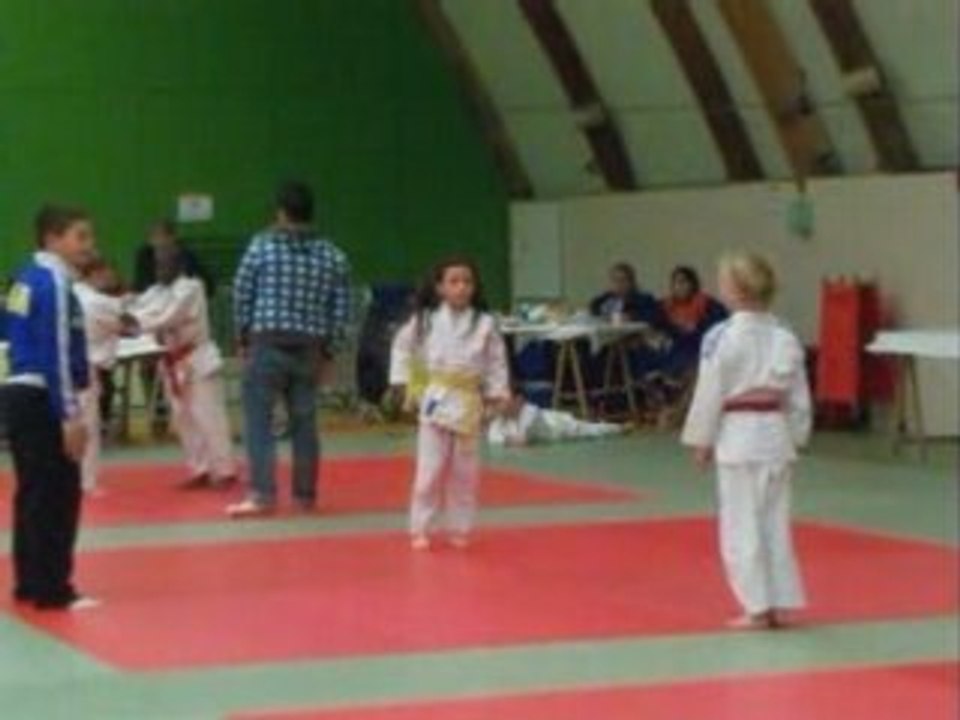 Mios 2008