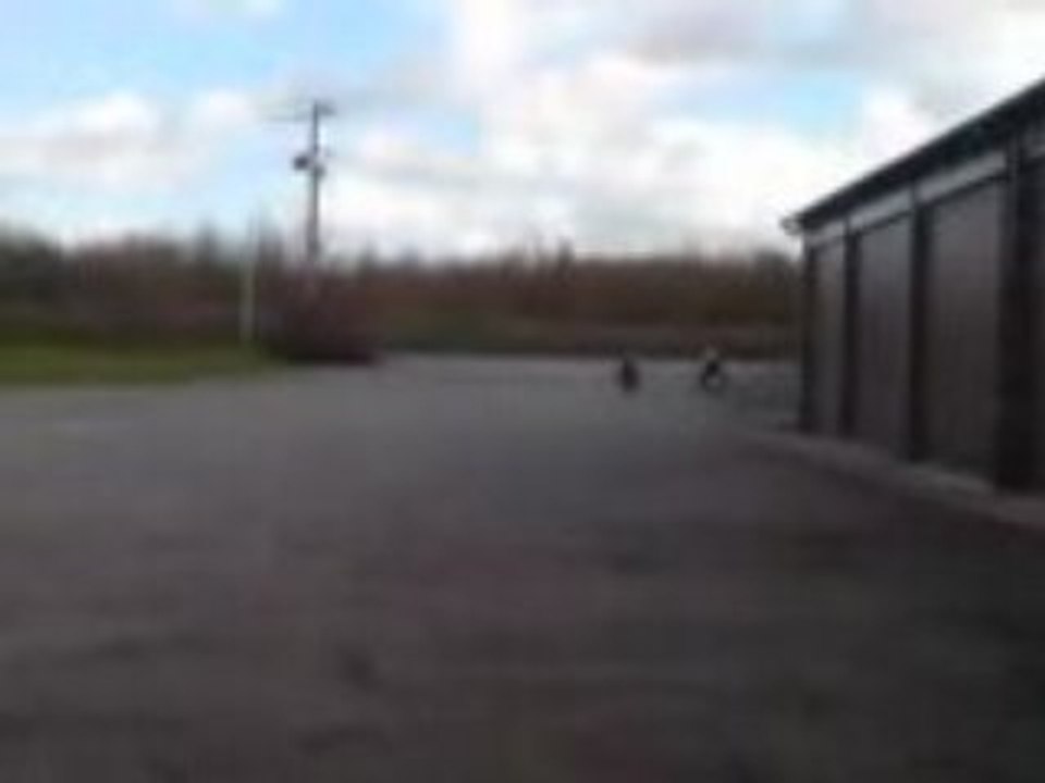 Pocket bike 1