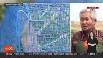 '1m 괴물쥐' 뉴트리아 개체수 급감…절반 이상 '뚝'