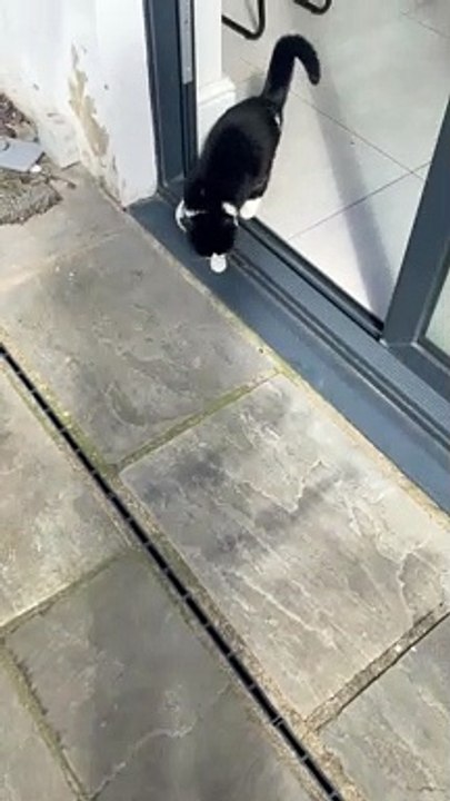 Bow Experiences Wind for the First Time