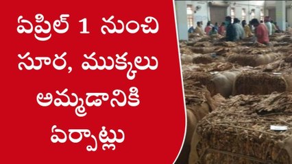 ప్రకాశం: పండగ రోజు... పొగాకు రైతులకు గుడ్ న్యూస్