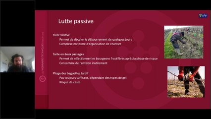 Aléas climatiques: les bons conseils pour la campagne 2023