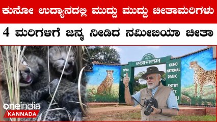 ಮುದ್ದು ಮರಿಗಳ ವೀಡಿಯೋ ಸೊಶಿಯಲ್ ಮೀಡಿಯಾದಲ್ಲಿ ವೈರಲ್