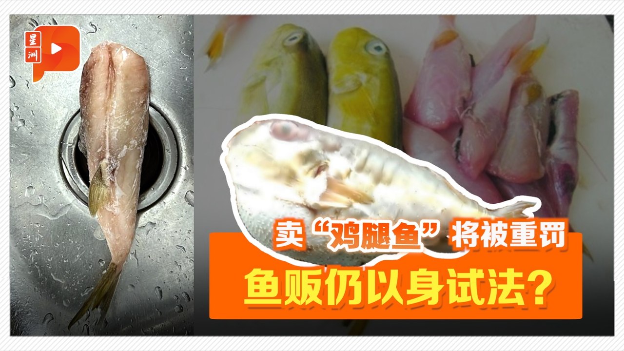 “鸡腿鱼”频吃死人 便宜美味饕客难抵挡？