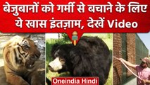 Gorakhpur: Zoological Park में बेजुबानों को गर्मी से राहत देने के लिए की ये व्यवस्था| वनइंडिया हिंदी