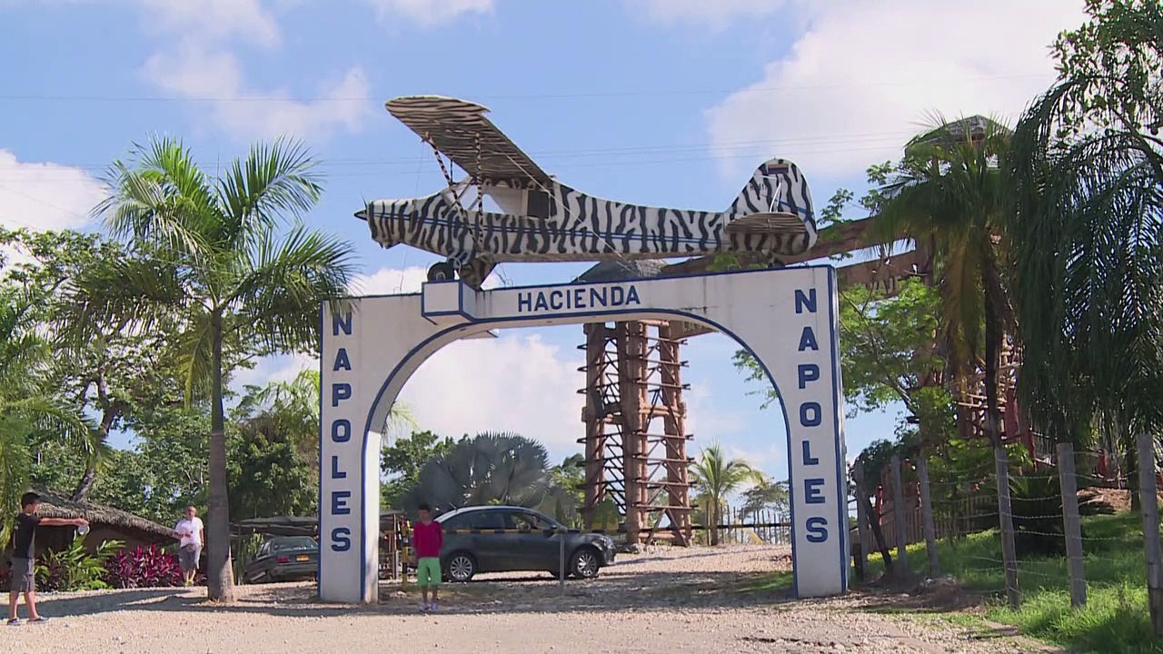Flusspferde von Drogenboss Escobar werden zur Plage