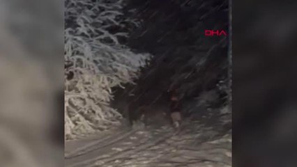 OFF-ROAD GRUBU ÖNLERİNE ÇIKAN DOMUZ SÜRÜSÜNÜ KOVALADI