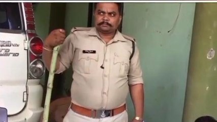 बैतूल: वन विभाग ने 4 लाख से अधिक का सागौन पकड़ा एक आरोपी गिरफ्तार