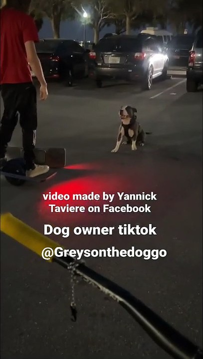 #fyp #pitbulls #pitbulllove #onewheel #dog #doglovers #dogs #dogtraining