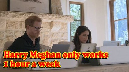 LAZY❗ Archewell tax filings show Harry and Meghan worked one hour a week in 2021