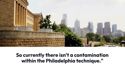 Comprehensive Overview of Cubs