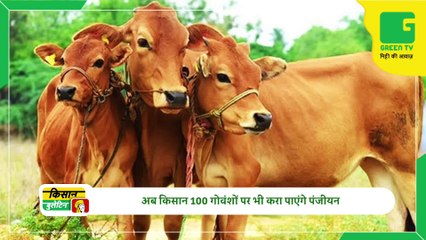 Kisan Bulletin 30 March 2023 - 31 मार्च से 2 अप्रैल तक मौसम से सावधान रहें किसान, देश के इन राज्यों में फिर कहर बरपाएगी बरसात