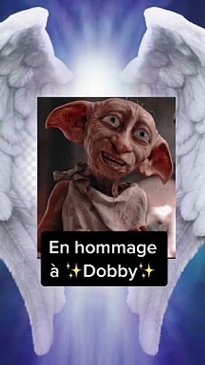 Dobby a assez de chaussettes !