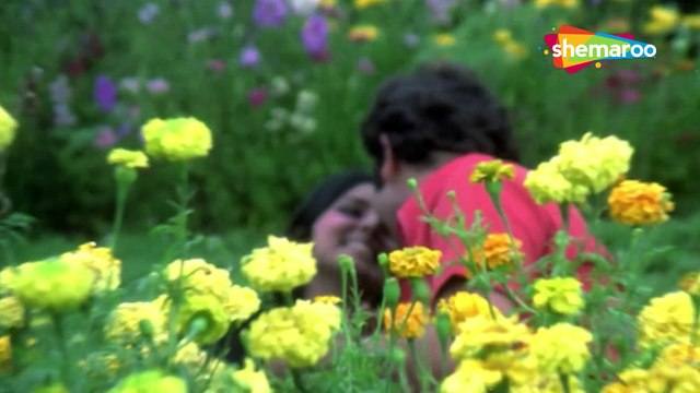 Phulon Ki Duniya Se/ Rickshawala 1973/ Randhir Kapoor ,Asha Bhosle, Neetu Singh ,Kishore Kumar,