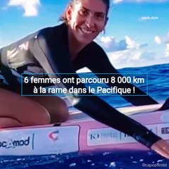 6 femmes ont parcouru 8000km à la rame dans le Pacifique
