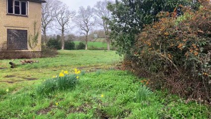 Unveiling the Future of Horsham's Abandoned House 🏚️