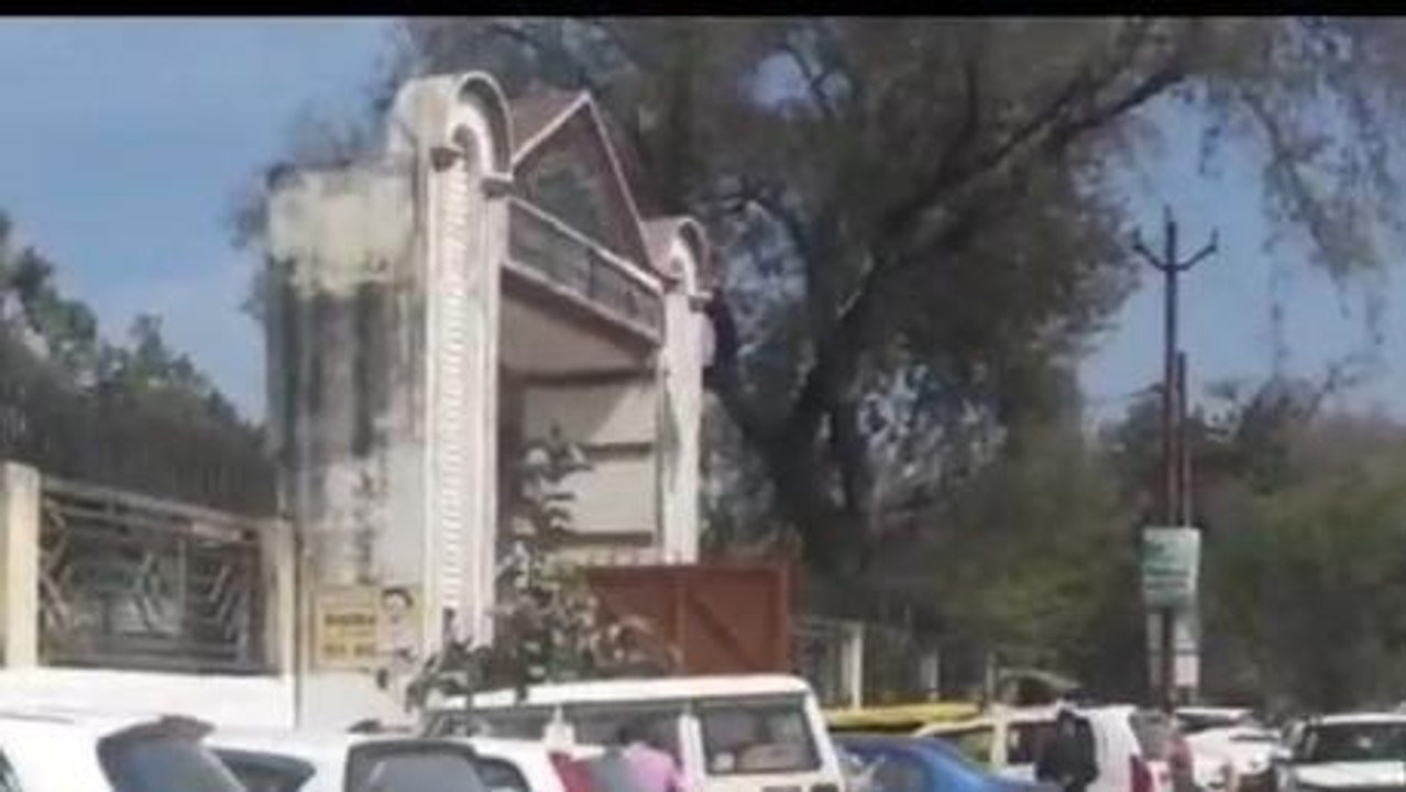 यूपी निकाय चुनाव: शामली जिले की आरक्षण सूची हुई जारी, जानें किस वर्ग को मिली सीट