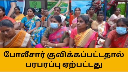 திருப்பூர்: சத்துணவு ஊழியர்கள் காத்திருப்பு போராட்டம்!