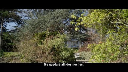 Traición - Tráiler oficial VOSE