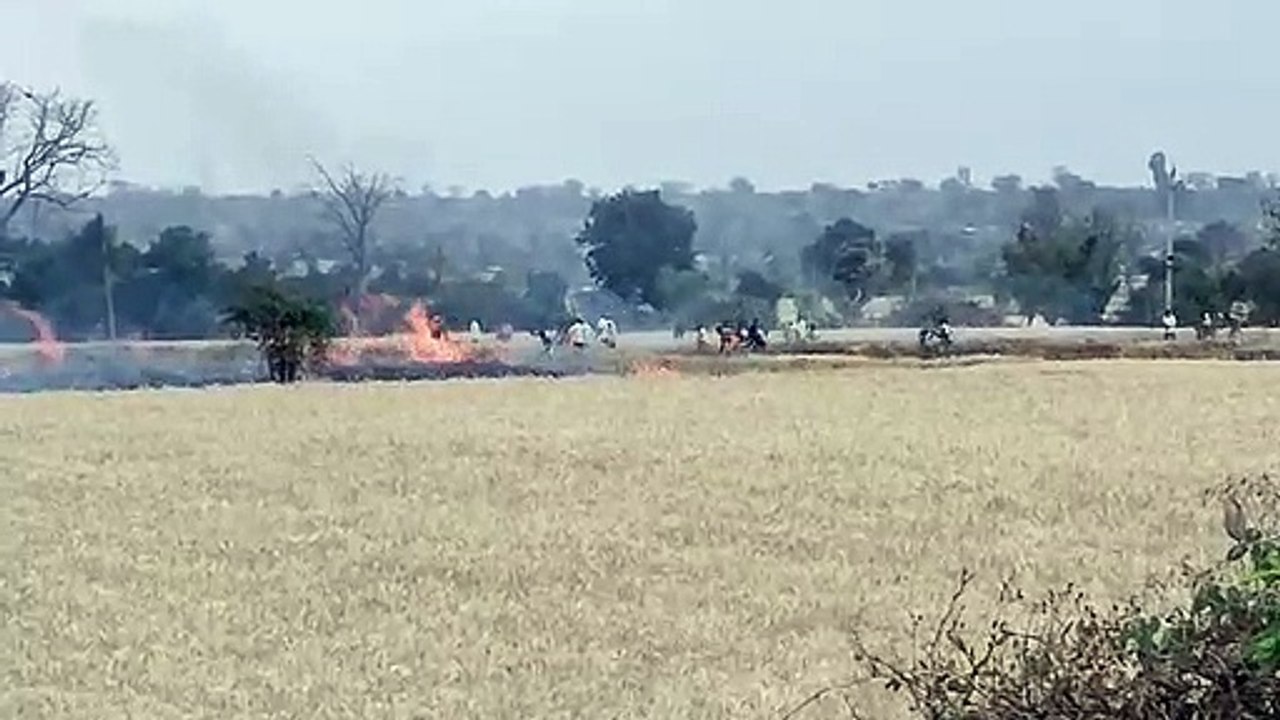 शार्ट-सर्किट से लगी आग, पांच एकड़ गेहूं खाक