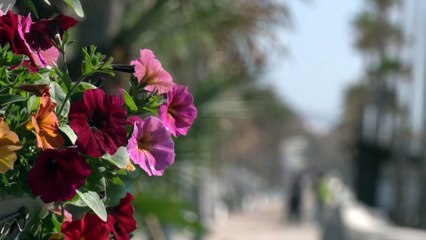 Moreno destaca la importancia de la cultura "como motor económico y generador de empleo"