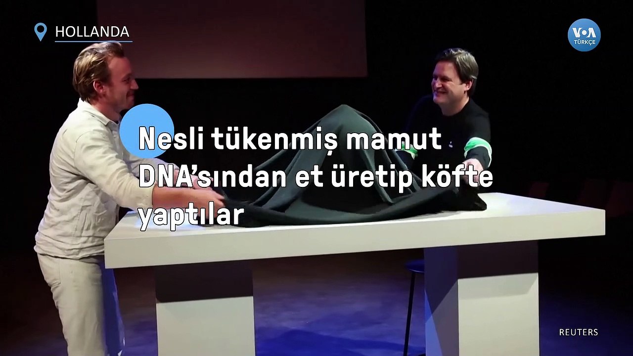 Nesli Tükenmiş Mamut DNA’sından Köfte Yaptılar