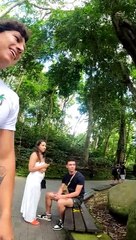 Monkey Does Not Enjoy Pets