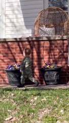 Two Kids Argue Over Who's the Boss