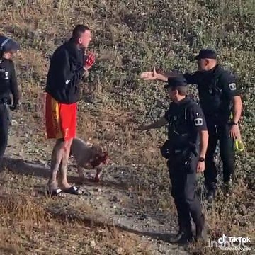 Video de uno de los perros tras ser tiroteado