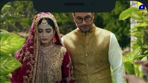 Tere Bin   Episodeisode 28 - Yumna Zaidi - Wahaj Ali - FLO Digital