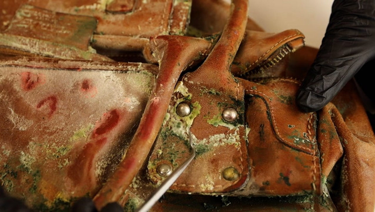 Professionals deep clean extreme mold buildup