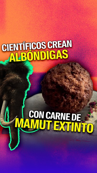 Empresa crea albóndigas de mamut extinto