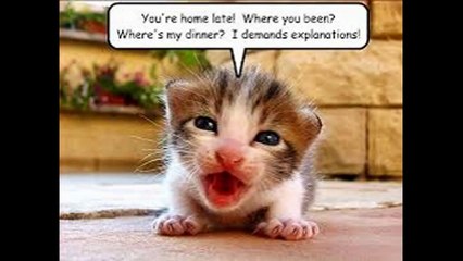 Animal's And Babies   Extremely Cute And Funny Animal's And Babies