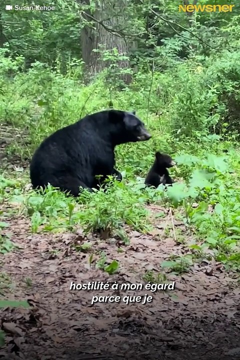 Ours (Good Boy)
