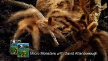Micro Monsters with David Attenborough Saison 1 - Trailer (EN)
