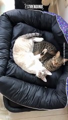 Karen estás invadiendo mi espacio personal