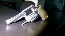 Revólver calibre 38 é encontrado em mata próximo a posto da PRF