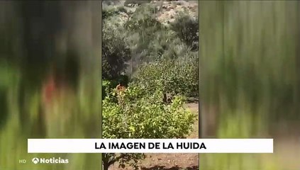 La huida del presunto agresor de la menor que se lanzó desde un balcón