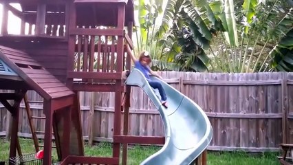 Funny Dog Videos - Dog Fails Compilation - Funny Dogs 2016 Part 1