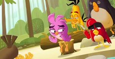Angry Birds: Summer Madness Angry Birds: Summer Madness S02 E013