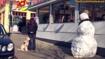 Scary Snowman Puppy Dog Scare Prank Compilation