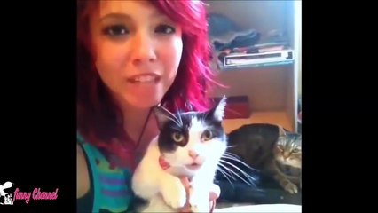 Best Funny Cats Video August 2015 Compilation Part 5