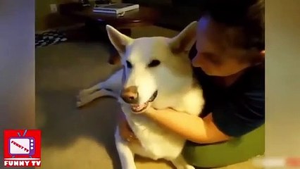 Funny Videos - Funny Animals - Funny Fails - Best Funny Animals compilation