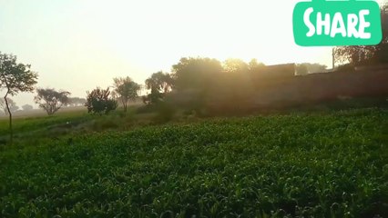 Ke liye khelenge Kali hoti hai  Jane bhi