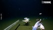 Pez caracol: captan extraño pescado a más de 8.300 metros de profundidad en el océano