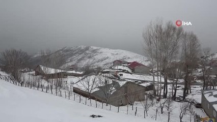 Yiyecek aramak için köye inen tilki böyle görüntülendi