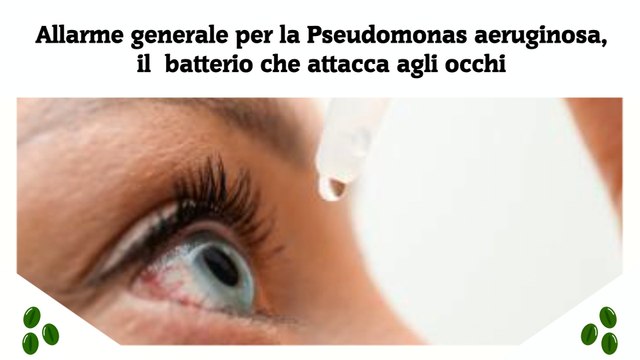 Allarme generale per la Pseudomonas aeruginosa, il batterio che attacca agli occhi