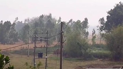 अमेठी: बारिश से किसान परेशान, फसलों का हुआ नुकसान