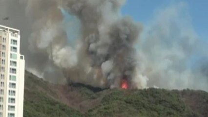 포천 산불 20시간 만에 진화..."담뱃불로 발화 가능성" / YTN