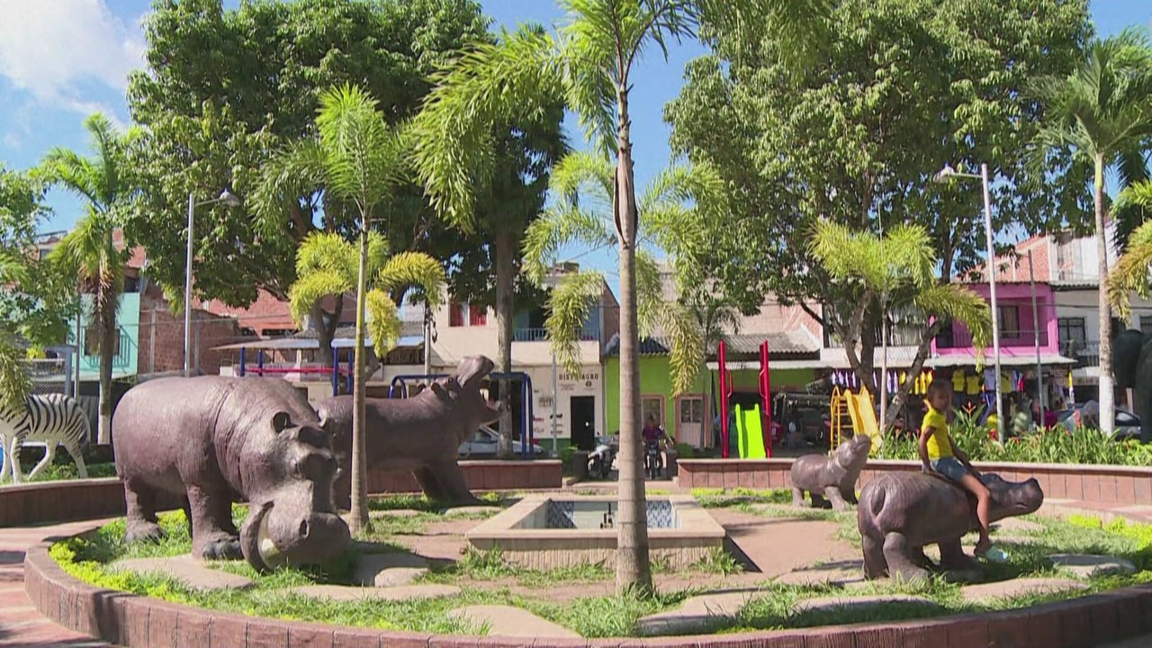 Le transfert des hippopotames de Pablo Escobar va coûter 3,5 millions de dollars